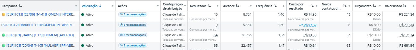 Campanhas Meta Ads segmentadas por público, com custo por resultado e alcance